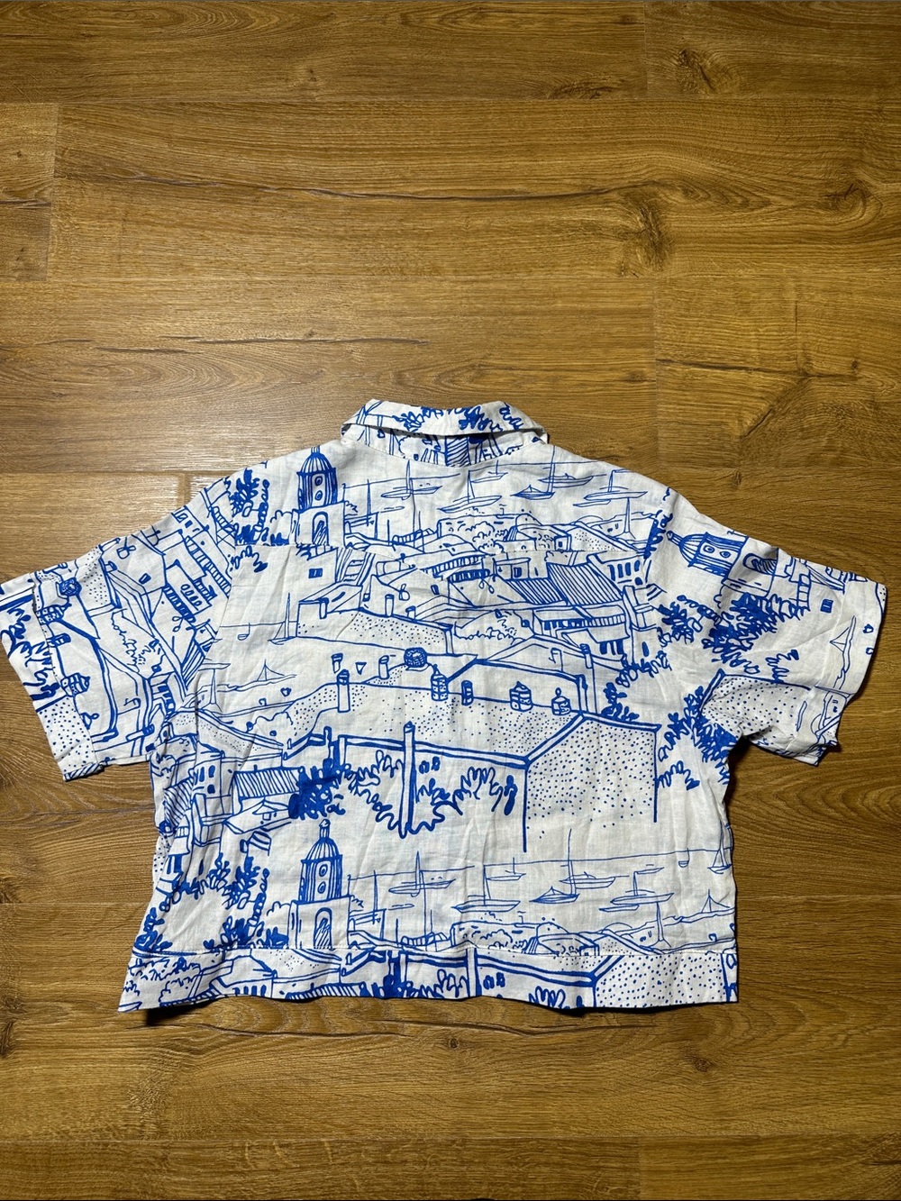 Calypso St. Barth White Button-Up Crop Shirt with Blue Scenic Print Size Medium - Picture 7 of 10